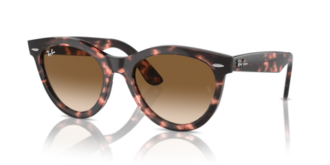 Pink Havana - 0RB2241 8056262031025