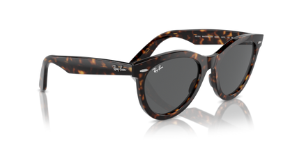Havana - 0RB2241 8056262031063