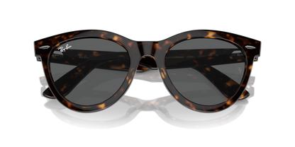 Havana - 0RB2241 8056262031063