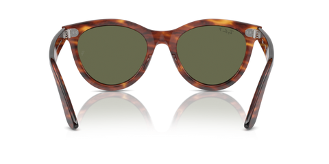 Striped Havana - 0RB2241 8056262031087