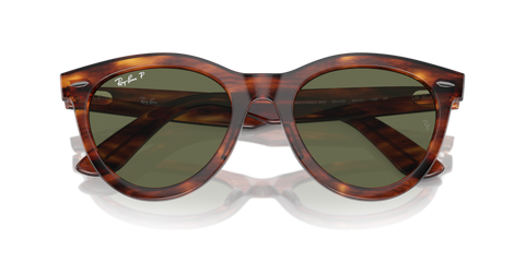 Striped Havana - 0RB2241 8056262031087