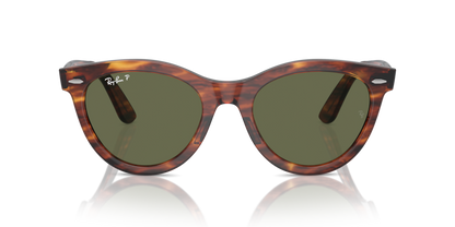 Striped Havana - 0RB2241 8056262031087