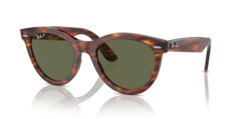 Striped Havana - 0RB2241 8056262031087