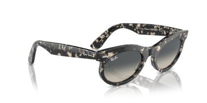 Grey Havana - 0RB2242 8056262030790