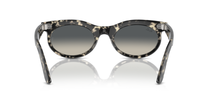 Grey Havana - 0RB2242 8056262030790