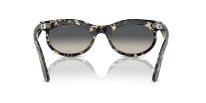 Grey Havana - 0RB2242 8056262030790