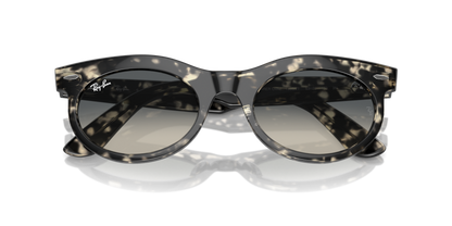 Grey Havana - 0RB2242 8056262030790