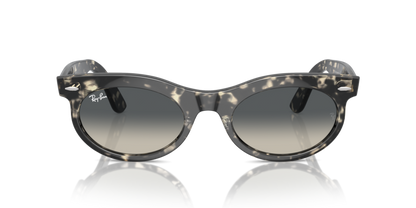 Grey Havana - 0RB2242 8056262030790