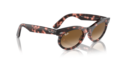 Pink Havana - 0RB2242 8056262030813