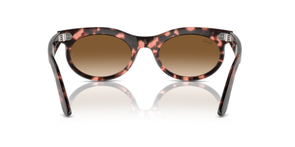 Pink Havana - 0RB2242 8056262030813