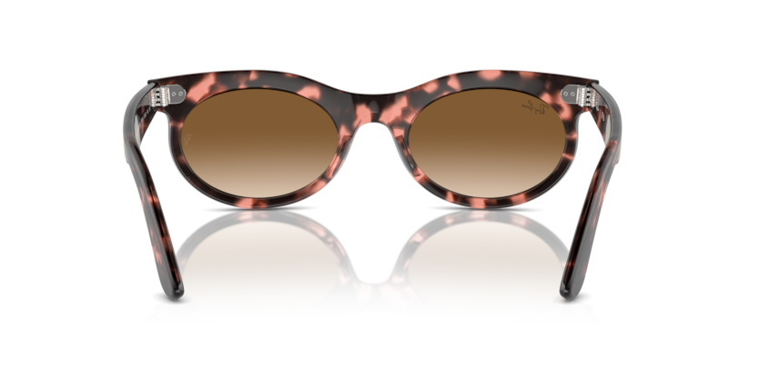 Pink Havana - 0RB2242 8056262030813