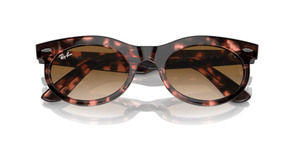 Pink Havana - 0RB2242 8056262030813