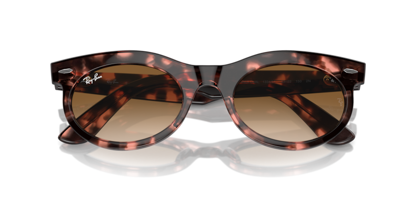 Pink Havana - 0RB2242 8056262030813