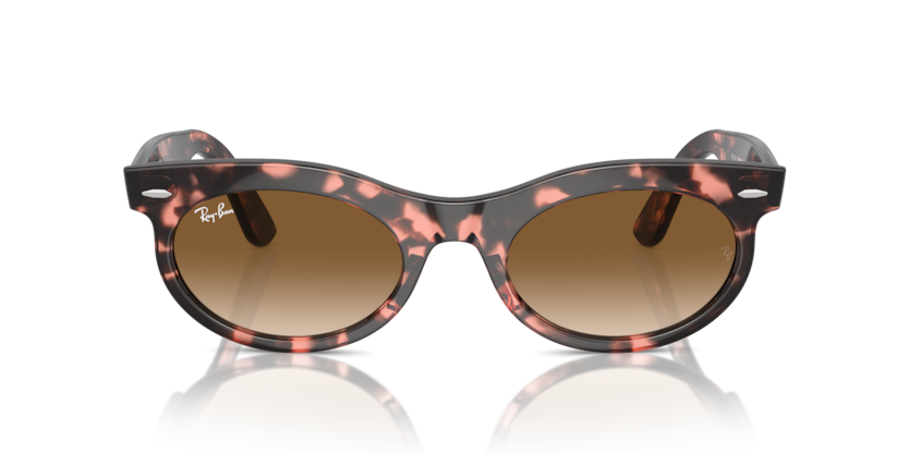 Pink Havana - 0RB2242 8056262030813