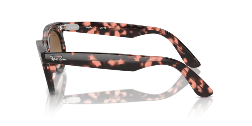 Pink Havana - 0RB2242 8056262030813