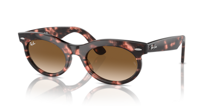 Pink Havana - 0RB2242 8056262030813