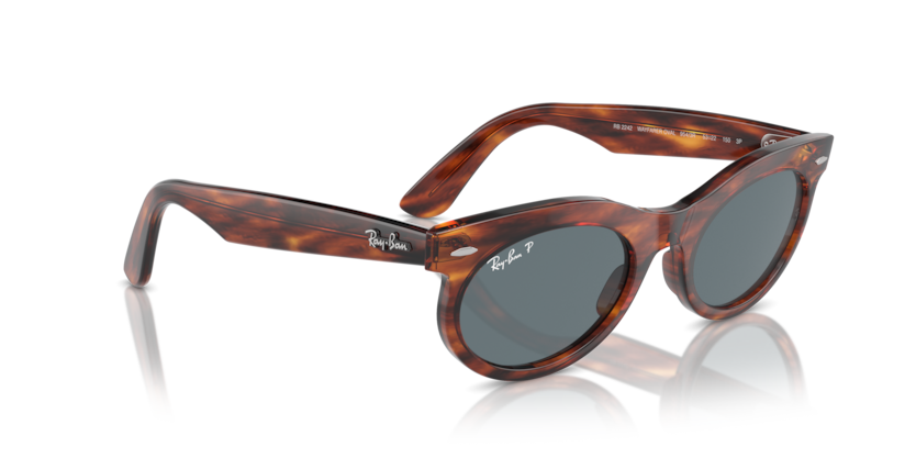 Striped Havana - 0RB2242 8056262030875