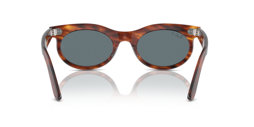 Striped Havana - 0RB2242 8056262030875