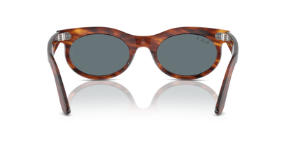 Striped Havana - 0RB2242 8056262030875