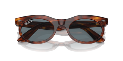 Striped Havana - 0RB2242 8056262030875