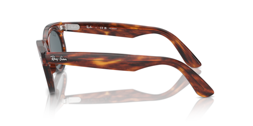 Striped Havana - 0RB2242 8056262030875