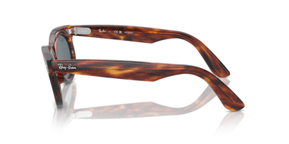 Striped Havana - 0RB2242 8056262030875