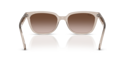 0RB2243D Transparent Light Brown rear view image 3 barcode 8056266002267