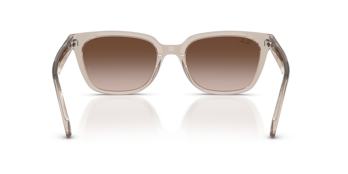 0RB2243D Transparent Light Brown rear view image 3 barcode 8056266002267