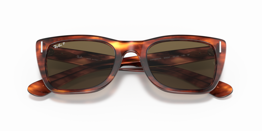 Striped Havana - 0RB2248 8056597242769 Ray-Ban Sunglasses Unisex Rectangle