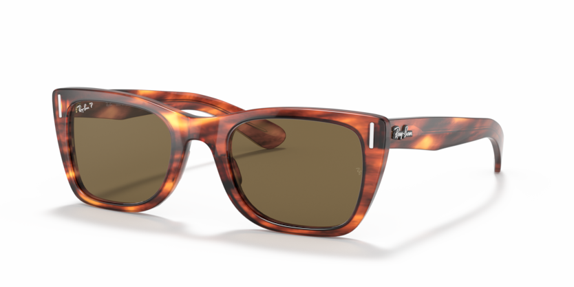 Striped Havana - 0RB2248 8056597242769 Ray-Ban Sunglasses Unisex Rectangle