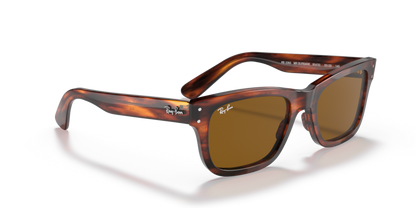 Striped Havana - 0RB2283 8056597556491