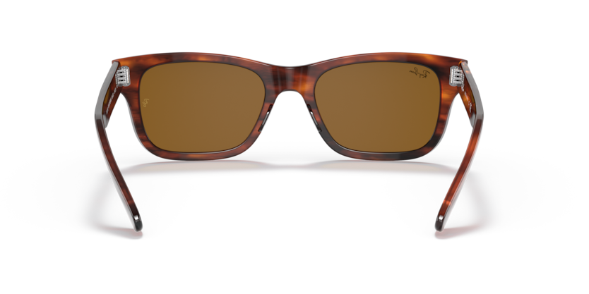 Striped Havana - 0RB2283 8056597556491