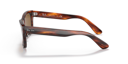 Striped Havana - 0RB2283 8056597556491