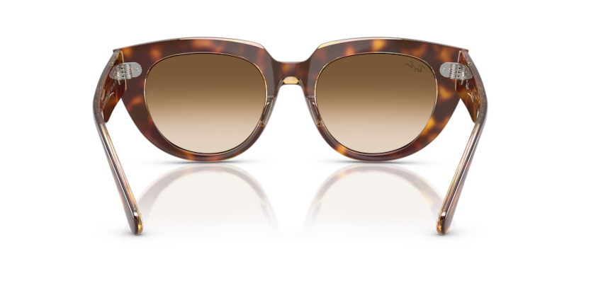 Light Havana On Transparent Multicolour - 0RB2286 8056262246337