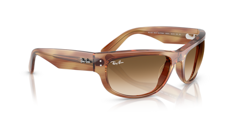 Striped Brown - 0RB2289 8056262268162