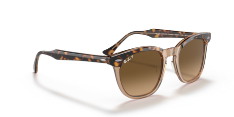 Havana On Transparent Brown - 0RB2298 8056597626682
