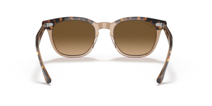 Havana On Transparent Brown - 0RB2298 8056597626682