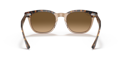 Havana On Transparent Brown - 0RB2298 8056597626682