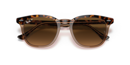 Havana On Transparent Brown - 0RB2298 8056597626682