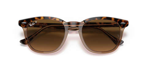 Havana On Transparent Brown - 0RB2298 8056597626682