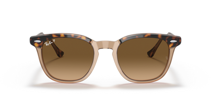 Havana On Transparent Brown - 0RB2298 8056597626682