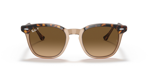 Havana On Transparent Brown - 0RB2298 8056597626682
