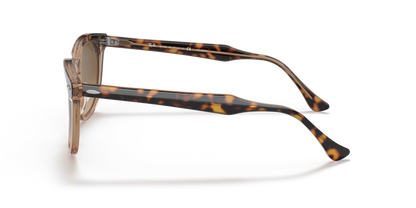 Havana On Transparent Brown - 0RB2298 8056597626682