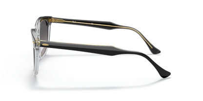 Black On Transparent - 0RB2298 8056597626705