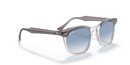 Grey On Transparent - 0RB2298 8056597626729