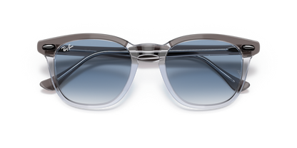 Grey On Transparent - 0RB2298 8056597626729