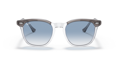 Grey On Transparent - 0RB2298 8056597626729