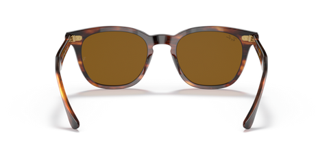 Striped Havana - 0RB2298 8056597626767