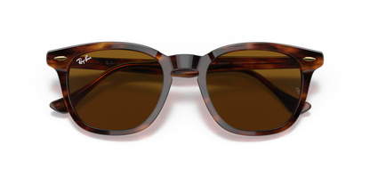 Striped Havana - 0RB2298 8056597626767