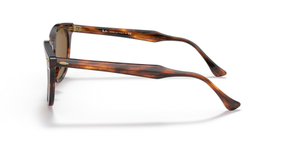 Striped Havana - 0RB2298 8056597626767